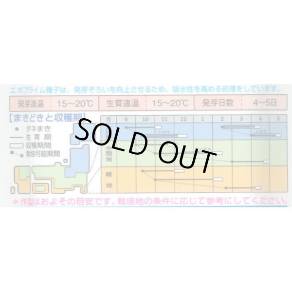 画像4: [ほうれんそう]　寒兵衛　40ml  タキイ種苗（株） 　RF (4)