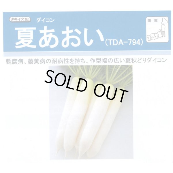 画像2: 大根　　夏あおい    ペレット5000粒　 タキイ種苗（株） (2)