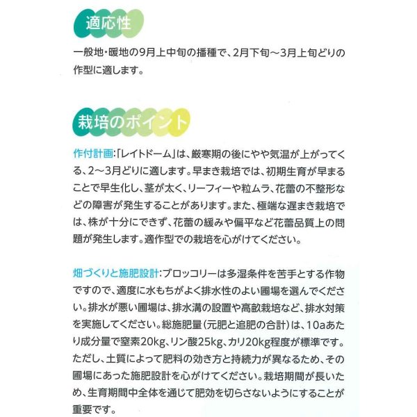 画像3: [ブロッコリー] レイトドーム 2000粒 (株)サカタのタネ (3)