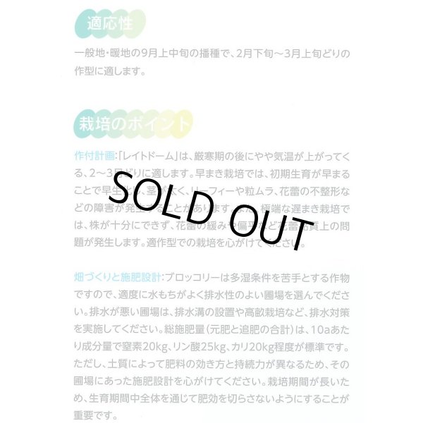 画像4: 送料無料 [ブロッコリー] レイトドーム ペレット5000粒 (株)サカタのタネ (4)