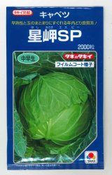 画像: 送料無料　[キャベツ]　星岬SP　2000粒　貴種(コートしてません)　タキイ種苗(株)