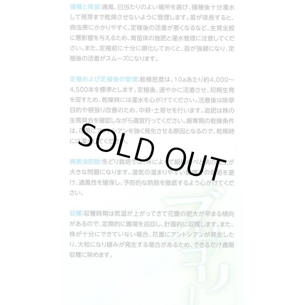 画像5: 送料無料 [ブロッコリー] レイトドーム ペレット5000粒 (株)サカタのタネ (5)