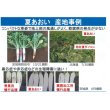 画像4: 大根　　夏あおい    20ml   タキイ種苗（株） (4)