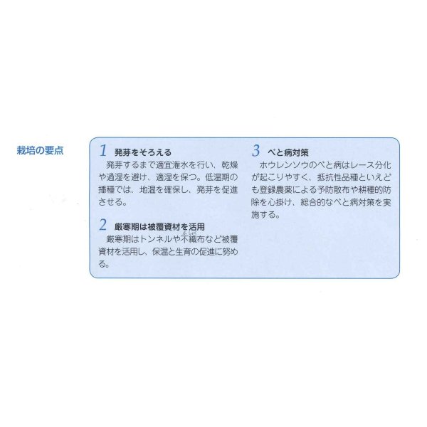 画像3: [ほうれんそう] 寒兵衛 3万粒(種子サイズ：M) タキイ種苗(株) (3)