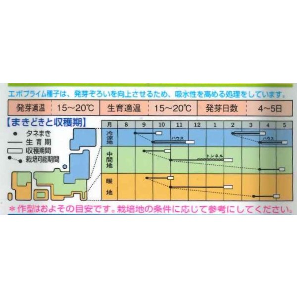画像4: [ほうれんそう]　徳兵衛　3万粒(種子サイズ：　L)タキイ種苗(株) (4)