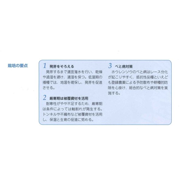 画像3: [ほうれんそう]　徳兵衛　3万粒(種子サイズ：　L)タキイ種苗(株) (3)
