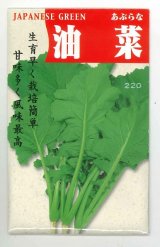 画像: [葉物]　油菜　8ｍｌ   （株）タカヤマシード