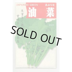 画像: 送料無料　[葉物]　油菜　8ml　(株)タカヤマシード