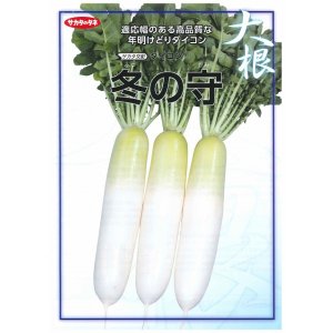 画像: 送料無料　大根　冬の守　8千粒　(株)サカタのタネ