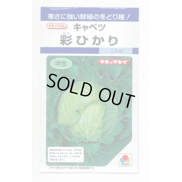 画像1: 野菜種　キャベツ　彩ひかり　2000粒　タキイ種苗（株） (1)