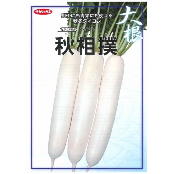 画像2: 送料無料　[大根]　秋相撲　800粒　(株)サカタのタネ (2)