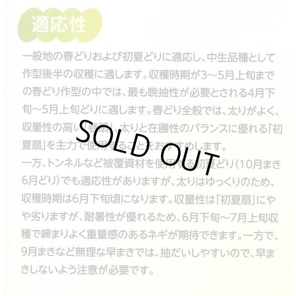 画像4: 送料無料 [ねぎ] 初夏扇2号 1dl(裸種子)(株)サカタのタネ (4)