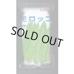 画像: [いんげん]　モロッコ　1L　タキイ種苗(株)