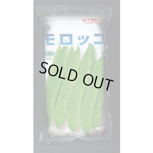 画像1: [いんげん]　モロッコ　1L　タキイ種苗(株) (1)