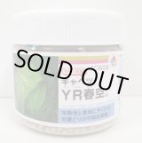 画像: 送料無料 [キャベツ] YR春空 ペレット種子5000粒 タキイ種苗(株)