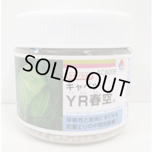 画像: 送料無料 [キャベツ] YR春空 ペレット種子5000粒 タキイ種苗(株)