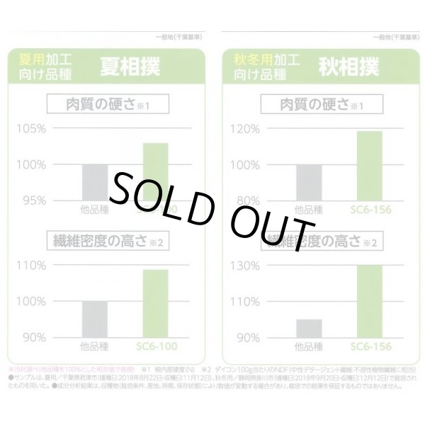 画像7: 送料無料 [大根] 秋相撲 8千粒 (株)サカタのタネ (7)