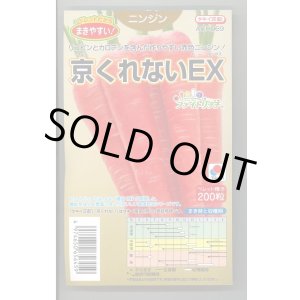 画像: 送料無料　[人参]　京くれないEX　ペレット種子200粒　タキイ種苗(株)