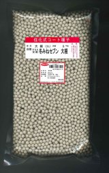 画像: 大根 冬みねセブン ペレット種子5000粒 (株)サカタのタネ