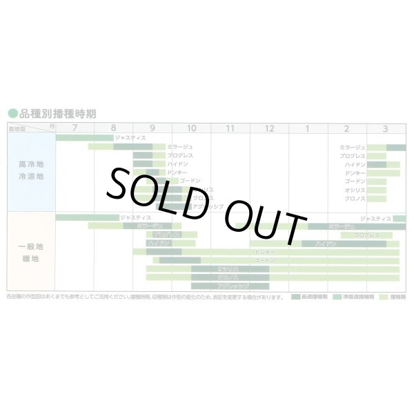 画像6: [ほうれんそう] アグレッシブ 種子サイズ：M 3万粒 （株）サカタのタネ (6)