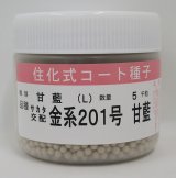 画像: 送料無料　[キャベツ]　金系201号　コート5000粒　（株）サカタのタネ
