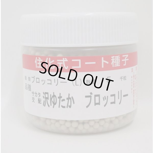 画像1: 送料無料　[ブロッコリー]　沢ゆたか　ペレット5000粒　(株)サカタのタネ (1)