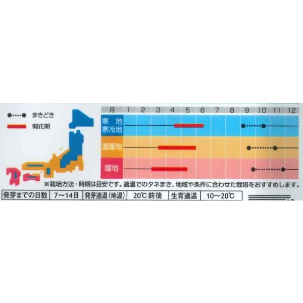 画像3: 送料無料　花の種　レンゲ　紫雲英　約3平米用　(株)サカタのタネ　実咲350（026181） (3)