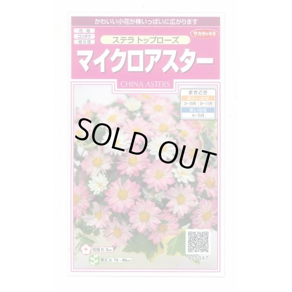 画像1: 送料無料　花の種　マイクロアスター　ステラトップローズ　小袋　(株)サカタのタネ　実咲350（026091） (1)