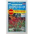 画像1: 花の種 　クリムゾンクローバー　ストロベリートーチ　約６平米用　サカタのタネ（株）実咲350 (1)