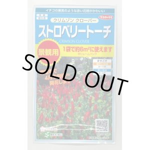 画像: 花の種 　クリムゾンクローバー　ストロベリートーチ　約６平米用　サカタのタネ（株）実咲350