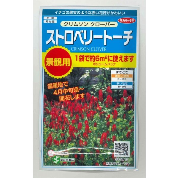 画像1: 花の種 クリムゾンクローバー ストロベリートーチ 約6平米用 (株)サカタのタネ 実咲350(027360) (1)