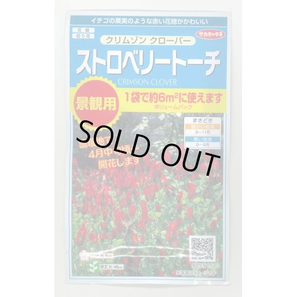 画像1: 花の種 　クリムゾンクローバー　ストロベリートーチ　約６平米用　サカタのタネ（株）実咲350 (1)