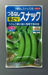 画像: 送料無料　[えんどう]　つるなしエンドウ　スナック2号　約55粒　(株)サカタのタネ　実咲350（003135）