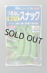 画像: [えんどう]　つるなしエンドウ　スナック2号　約55粒　　サカタのタネ（株）　実咲300