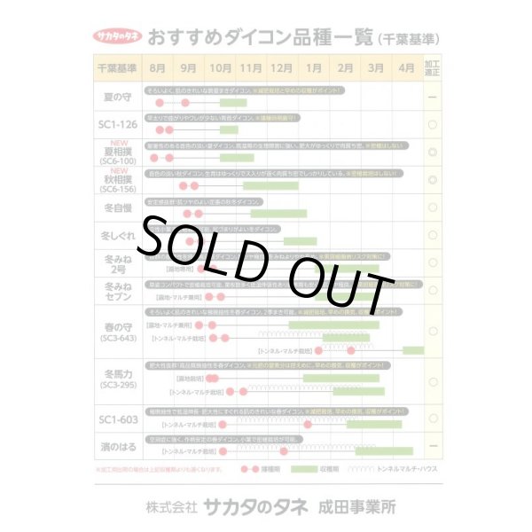 画像6: 送料無料 [大根] 春の守 8000粒 (株)サカタのタネ (6)