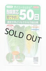 画像: 送料無料　[白菜]　タイニーシュシュ　約300粒　(株)サカタのタネ　実咲450（003430）
