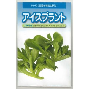 画像: 送料無料　[葉物]　アイスプラント　50粒　武蔵野種苗園