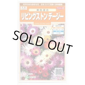画像: 送料無料　花の種　リビングストンデージー　美色混合　約286粒　（株）サカタのタネ　実咲200（026369）
