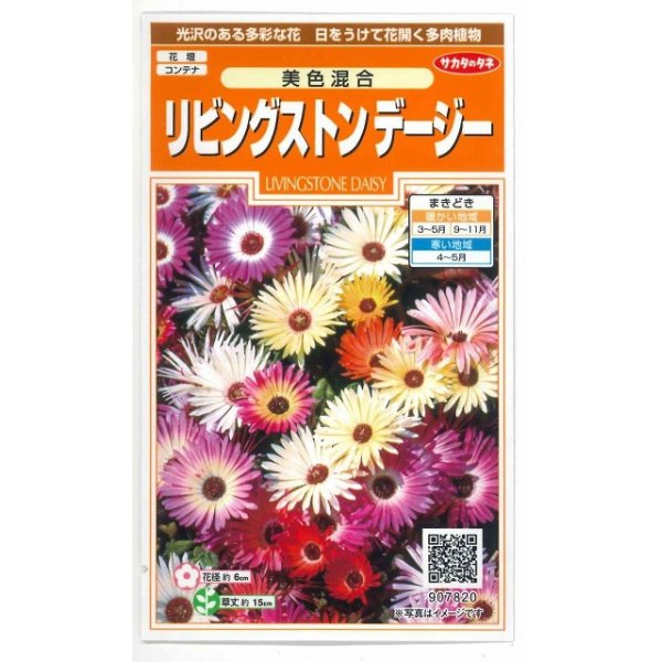 画像1: 花の種　リビングストンデージー　美色混合　約286粒　サカタのタネ（株）実咲200 (1)