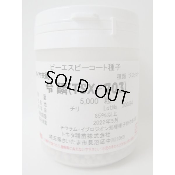 画像1: 送料無料　ブロッコリー　令麟　コート5000粒　トキタ種苗(株) (1)