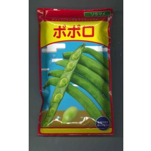 画像: 送料無料　[そら豆]　ポポロ　1dL(およそ40粒)　（株）武蔵野種苗園