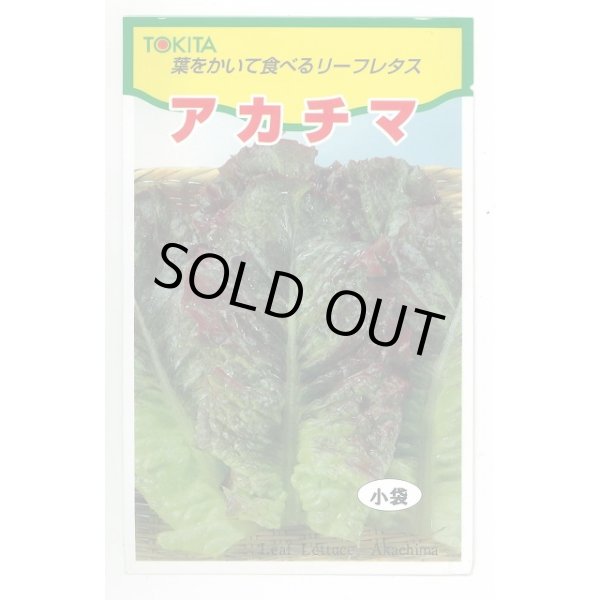 画像1: 送料無料　[レタス]　アカチマ　2ml　トキタ種苗(株) (1)