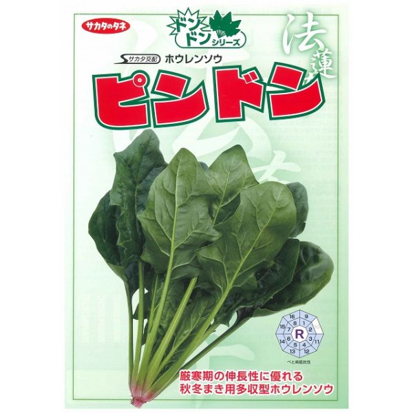 画像3: [ほうれんそう] ピンドン 種子サイズＭ 3万粒 （株）サカタのタネ (3)