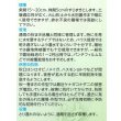画像5: [ほうれんそう]　ピンドン　種子サイズＭ　　　3万粒　（株）サカタのタネ (5)