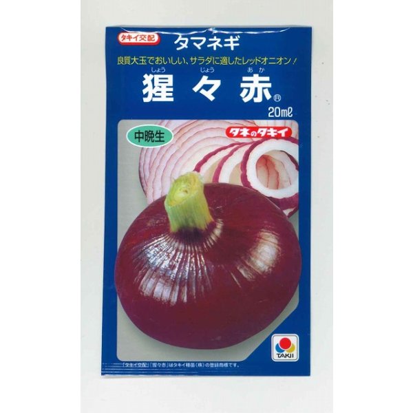 画像1: [たまねぎ] 猩々赤 20ml タキイ種苗(株) (1)