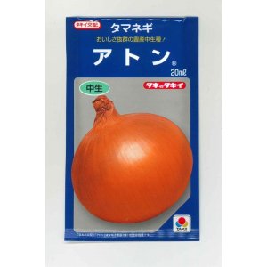 画像: 送料無料　[たまねぎ]　アトン　20ml　タキイ種苗(株)