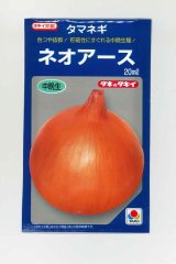 画像: [たまねぎ] ネオアース 20ml タキイ種苗(株)