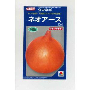 画像: 送料無料　[たまねぎ]　ネオアース　20ml　タキイ種苗(株)
