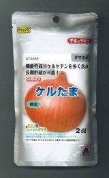 画像: 送料無料　[たまねぎ]ケルたま2dl（ およそ27,800粒）タキイ種苗(株)
