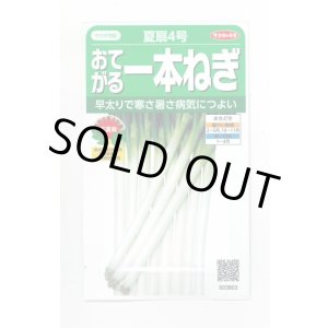 画像: 送料無料　[ねぎ]　夏扇4号　約400粒　(株)サカタのタネ　実咲450（003044）